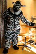 zebra mascot talismani